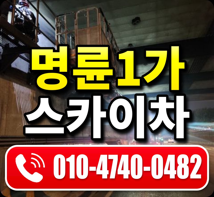 명륜1가 스카이차 010-4740-0482