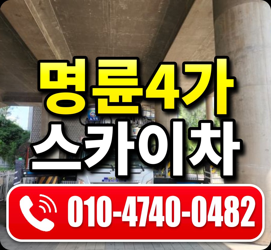 명륜4가 스카이차 010-4740-0482