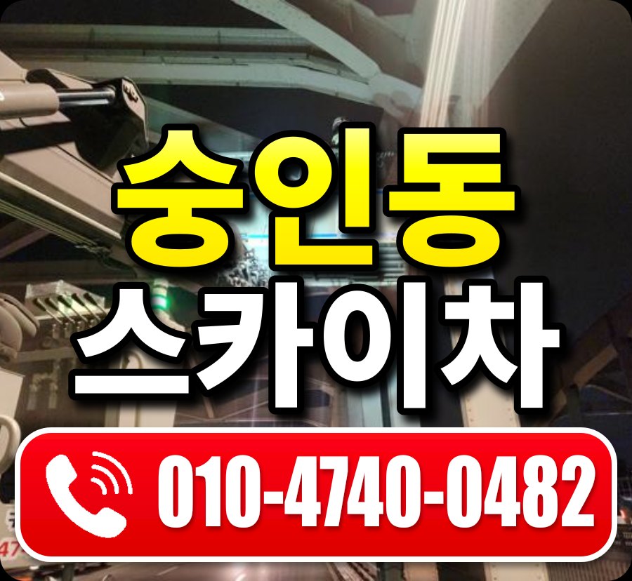 숭인동 스카이차 010-4740-0482