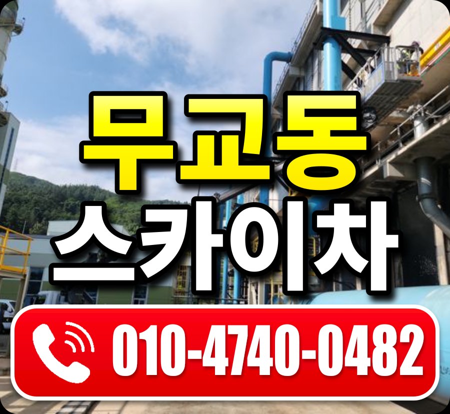 무교동 스카이차 010-4740-0482