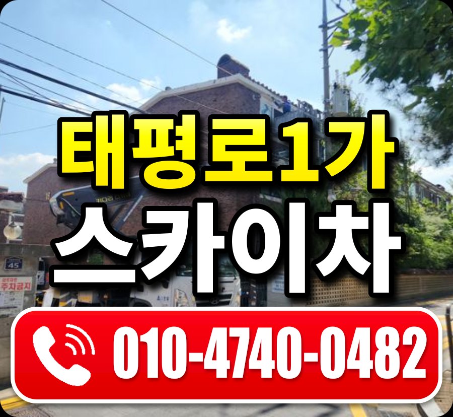 태평로1가 스카이차 010-4740-0482