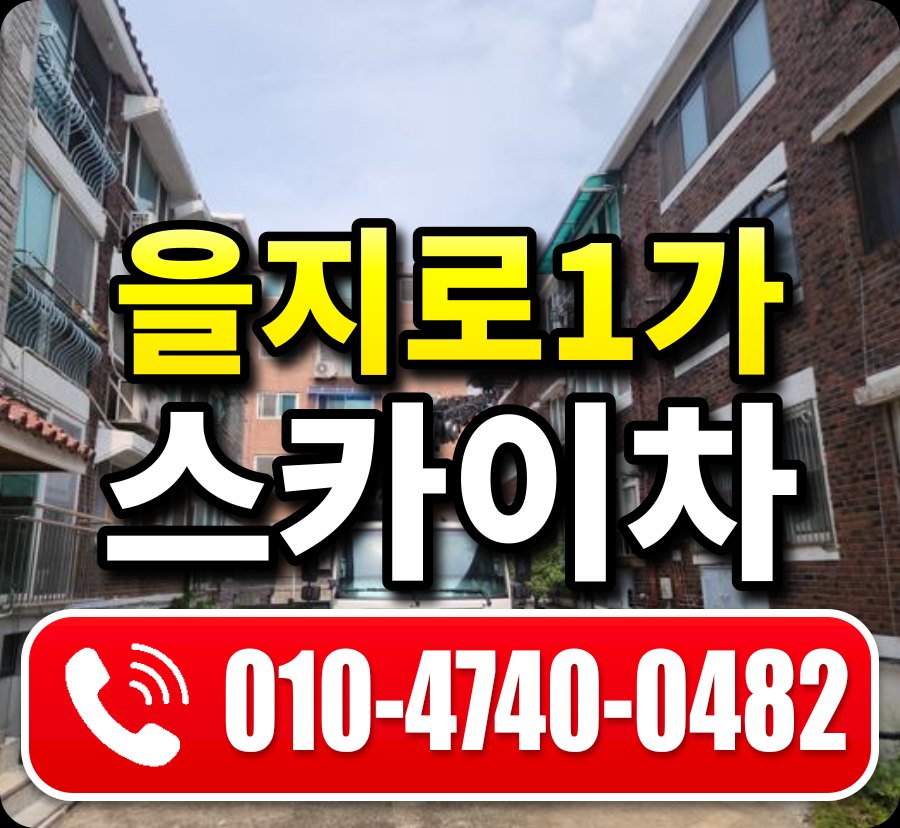 을지로1가 스카이차 010-4740-0482