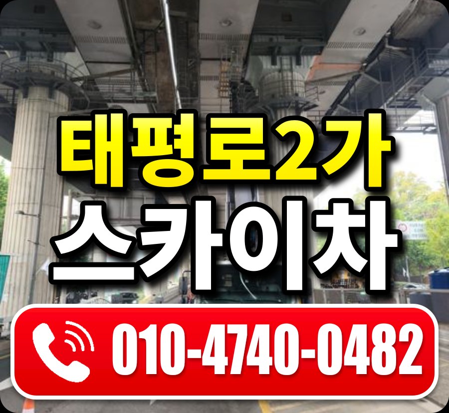 태평로2가 스카이차 010-4740-0482