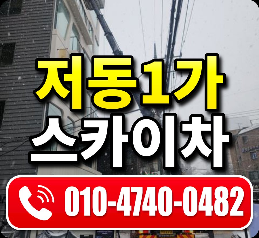 저동1가 스카이차 010-4740-0482
