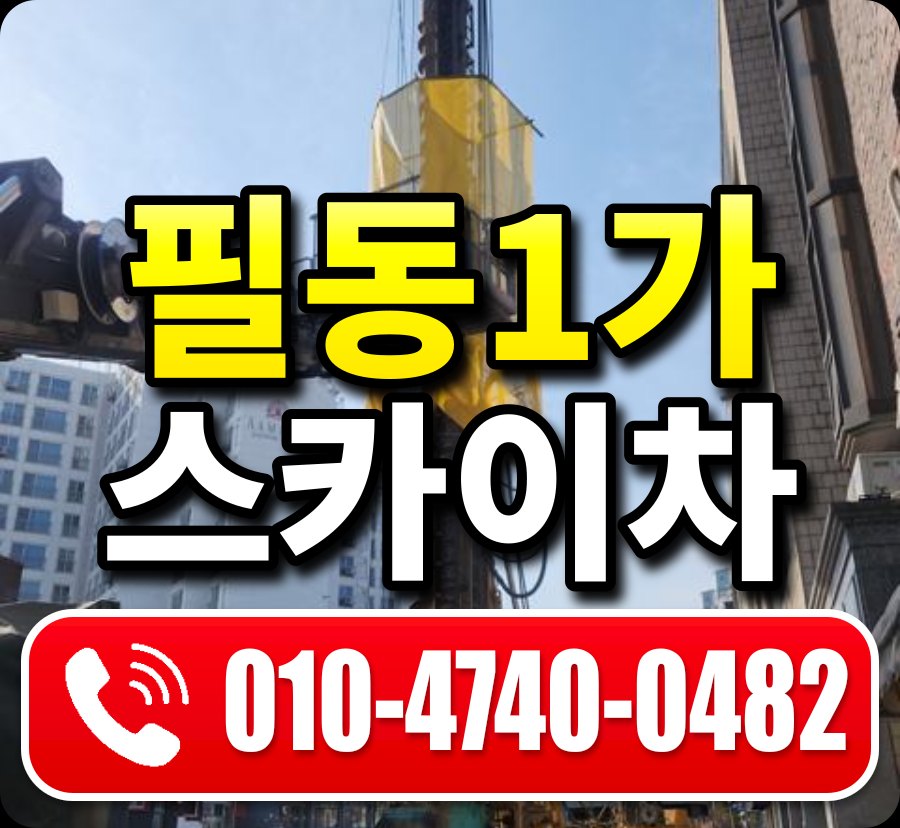 필동1가 스카이차 010-4740-0482