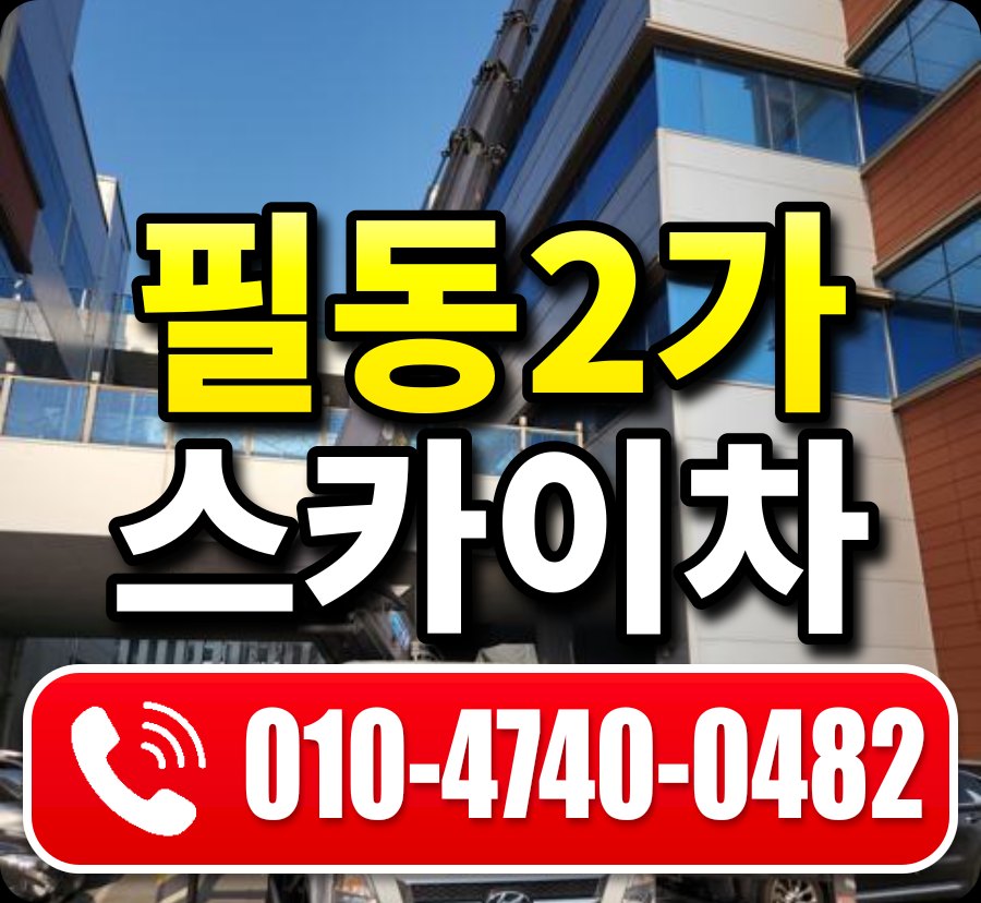 필동2가 스카이차 010-4740-0482