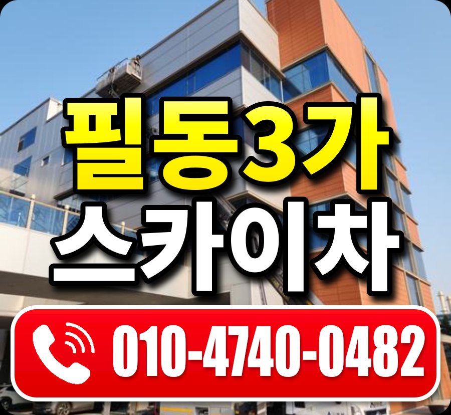 필동3가 스카이차 010-4740-0482