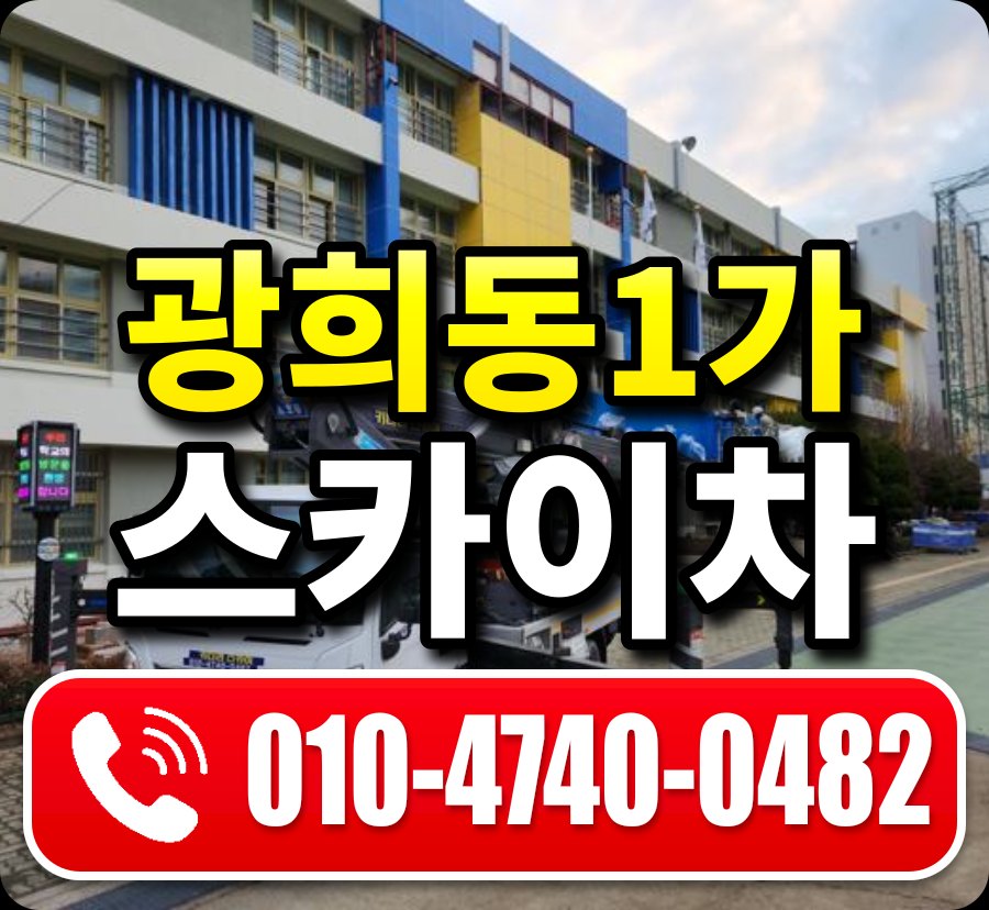 광희동1가 스카이차 010-4740-0482