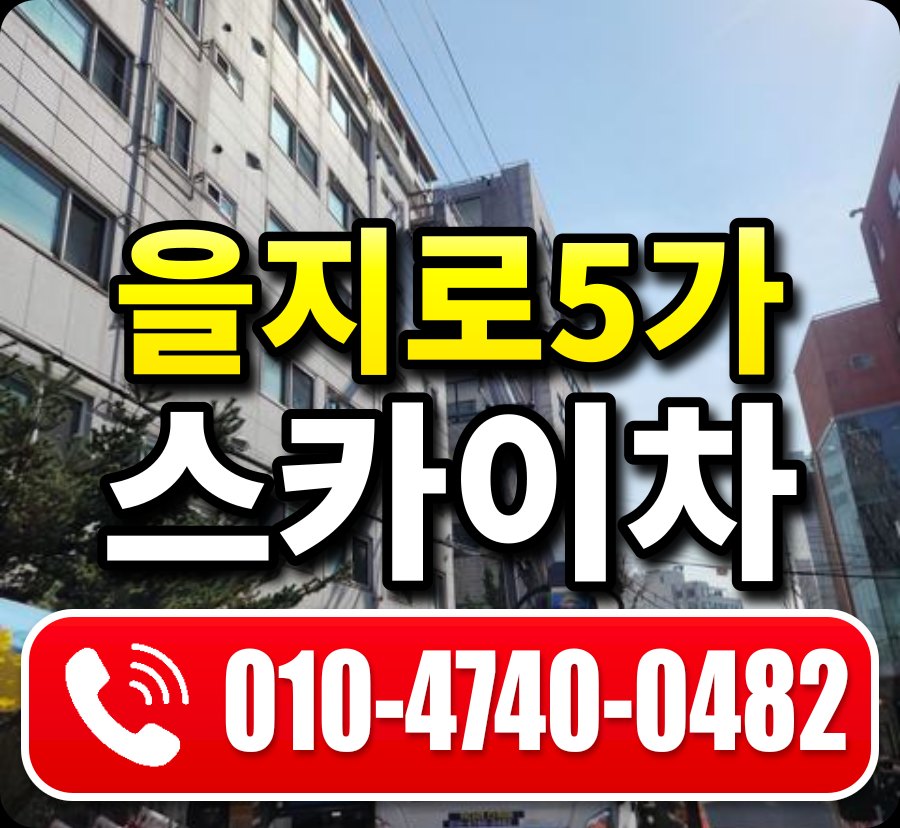 을지로5가 스카이차 010-4740-0482