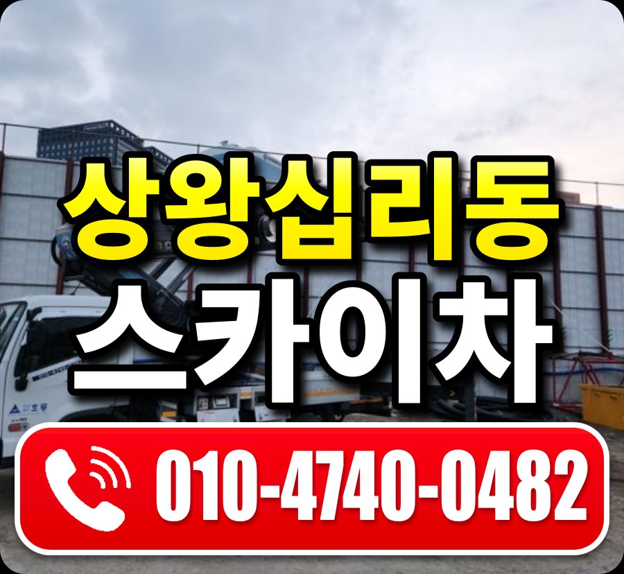 상왕십리동 스카이차 010-4740-0482
