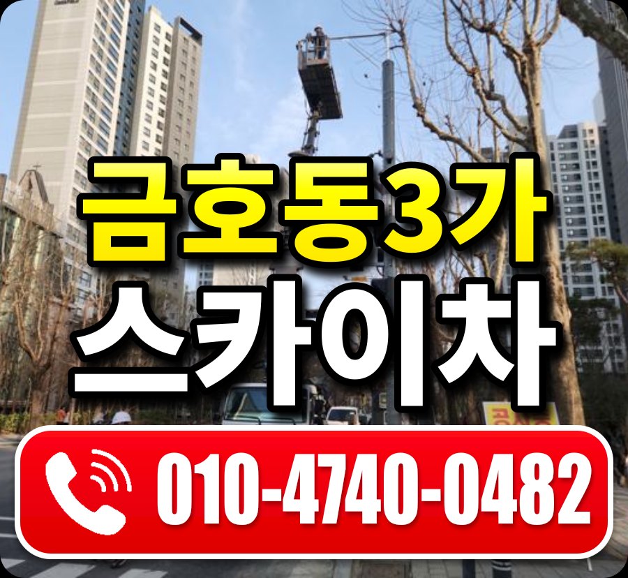 금호동3가 스카이차 010-4740-0482