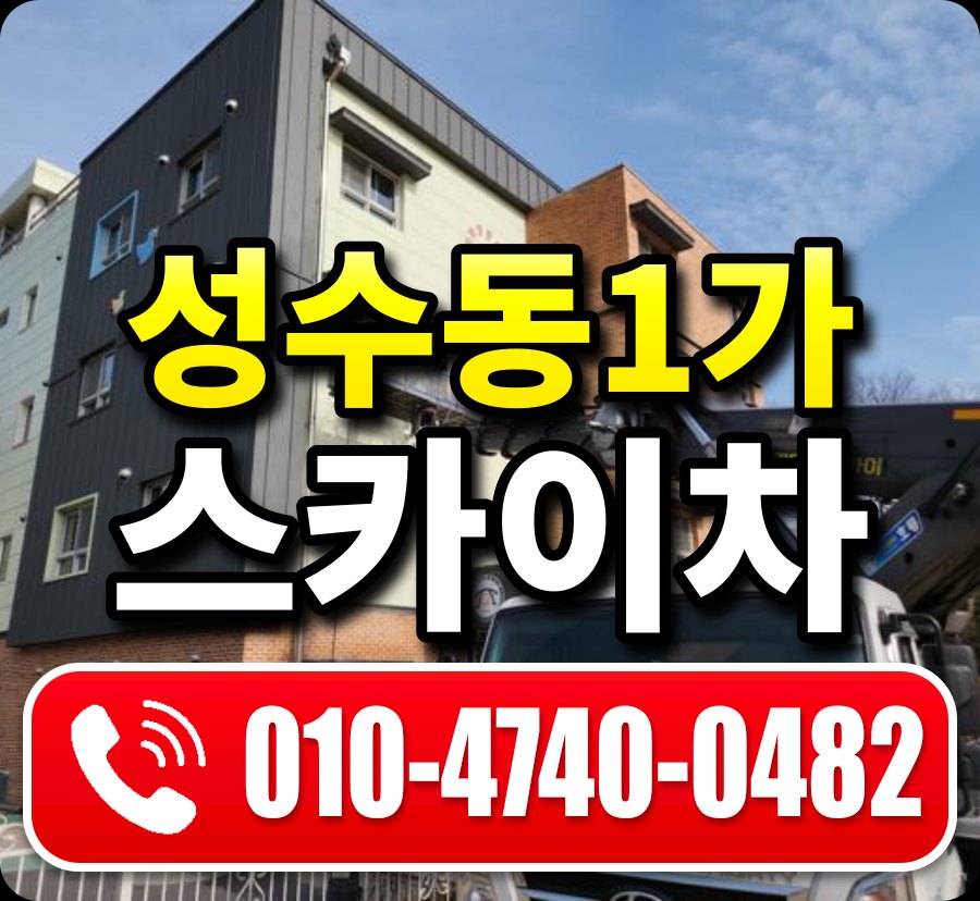 성수동1가 스카이차 010-4740-0482