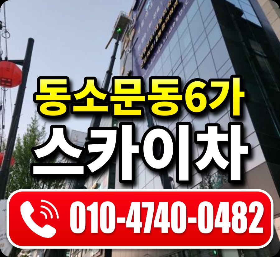 동소문동6가 스카이차 010-4740-0482