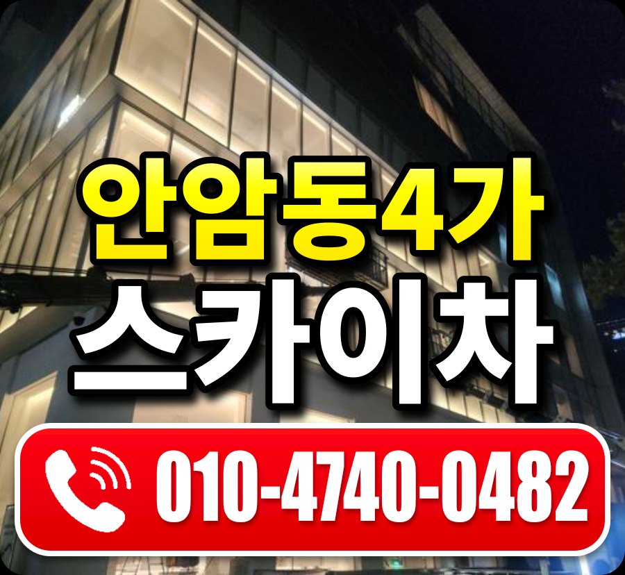 안암동4가 스카이차 010-4740-0482