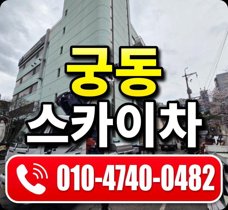 궁동 스카이차 010-4740-0482
