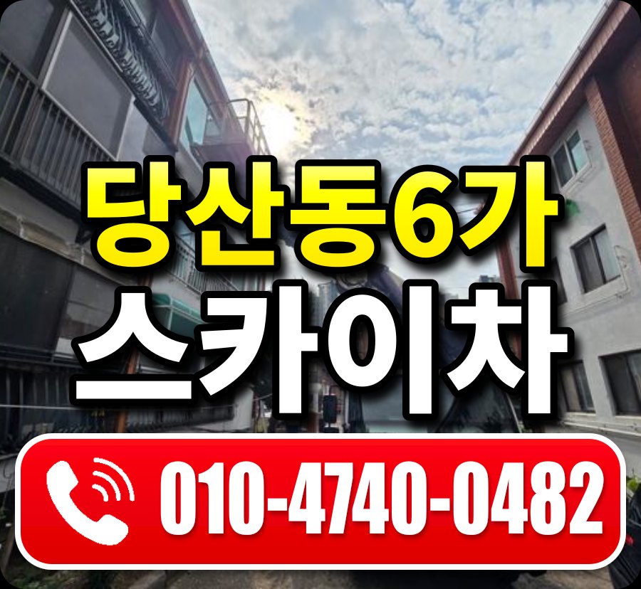 당산동6가 스카이차 010-4740-0482