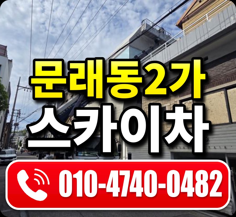 문래동2가 스카이차 010-4740-0482