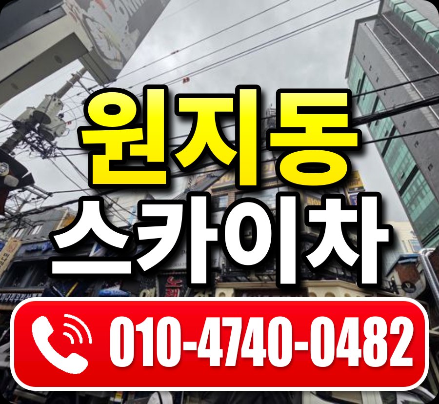원지동 스카이차 010-4740-0482