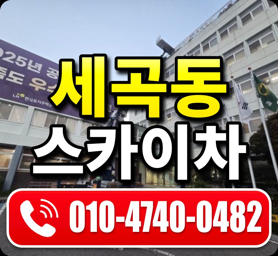 세곡동 스카이차 010-4740-0482