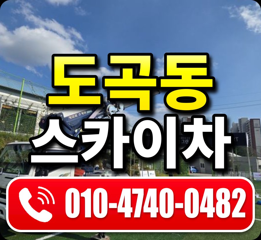 도곡동 스카이차 010-4740-0482