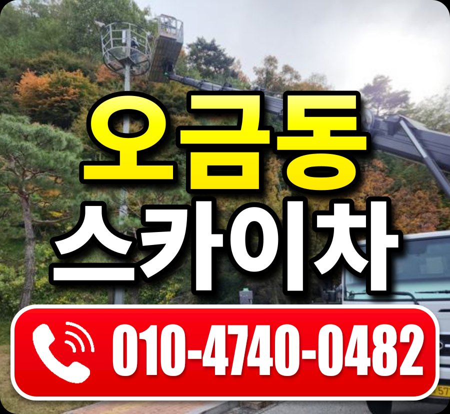 오금동 스카이차 010-4740-0482