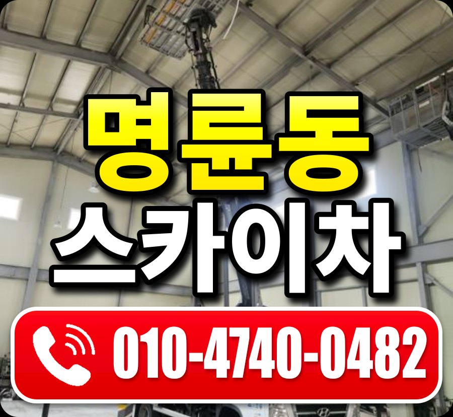 명륜동 스카이차 010-4740-0482