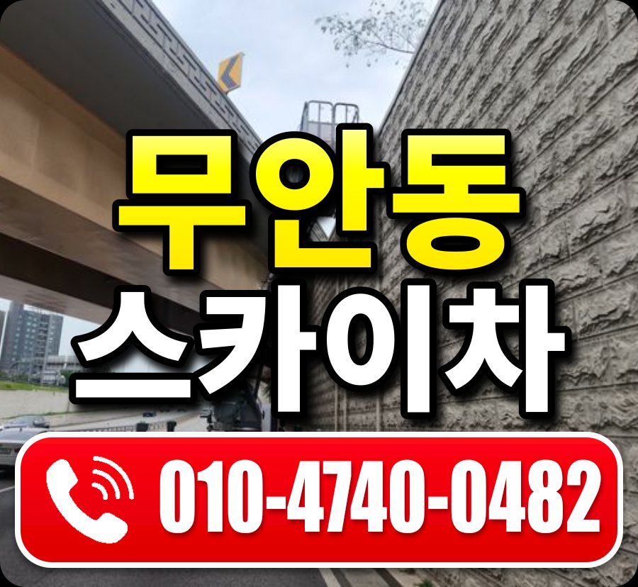 무안동 스카이차 010-4740-0482