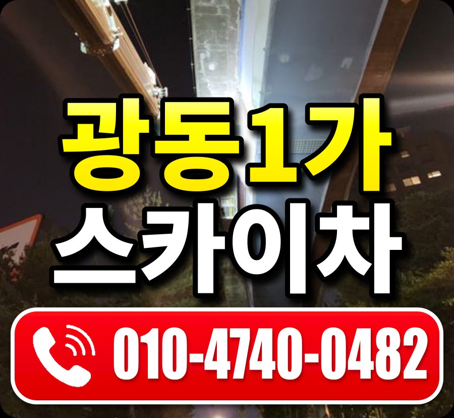 광동1가 스카이차 010-4740-0482