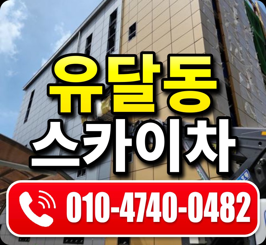 유달동 스카이차 010-4740-0482