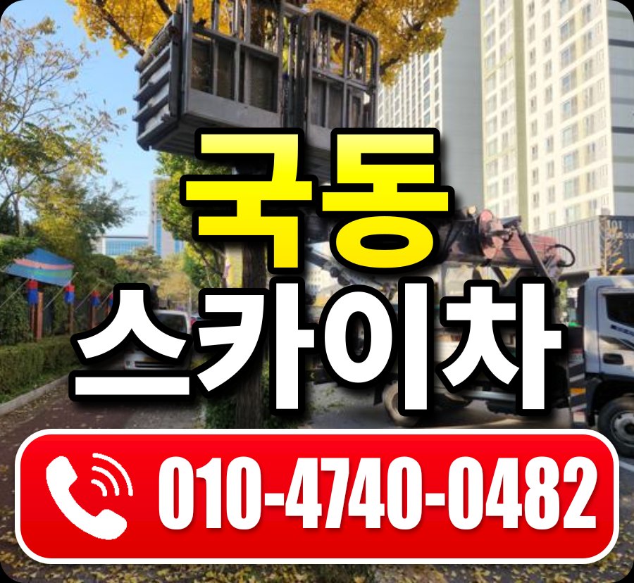 국동 스카이차 010-4740-0482