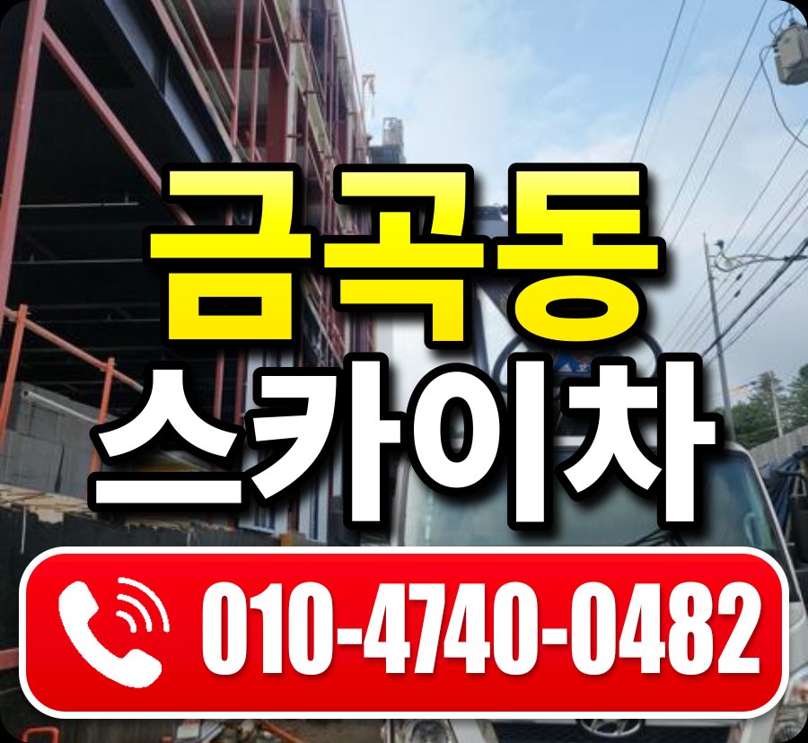 금곡동 스카이차 010-4740-0482