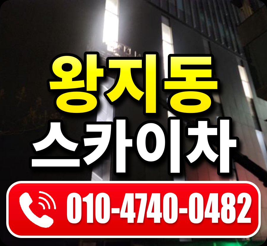 왕지동 스카이차 010-4740-0482