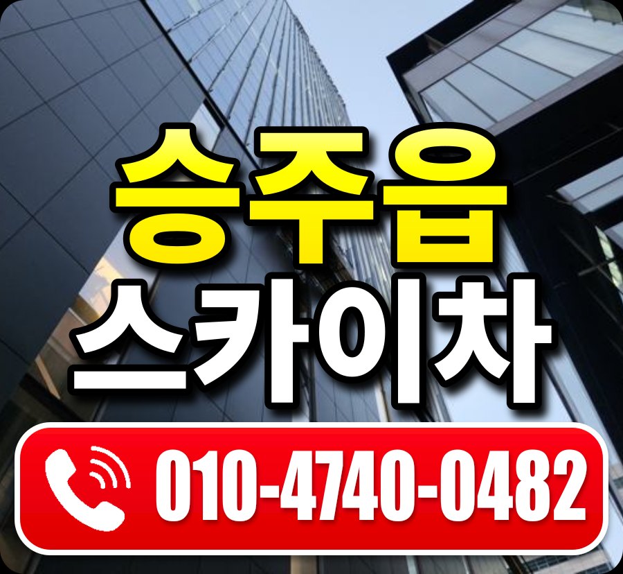 승주읍 스카이차 010-4740-0482