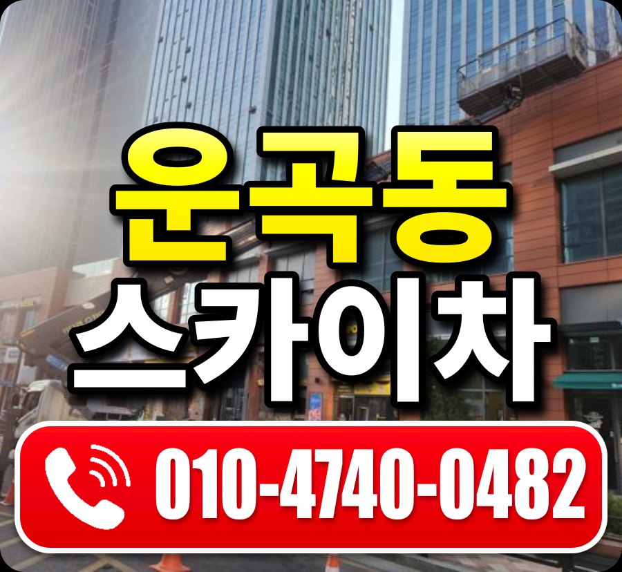 운곡동 스카이차 010-4740-0482