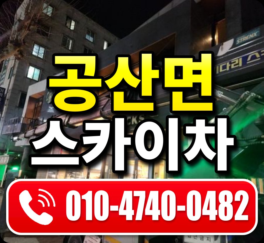 공산면 스카이차 010-4740-0482