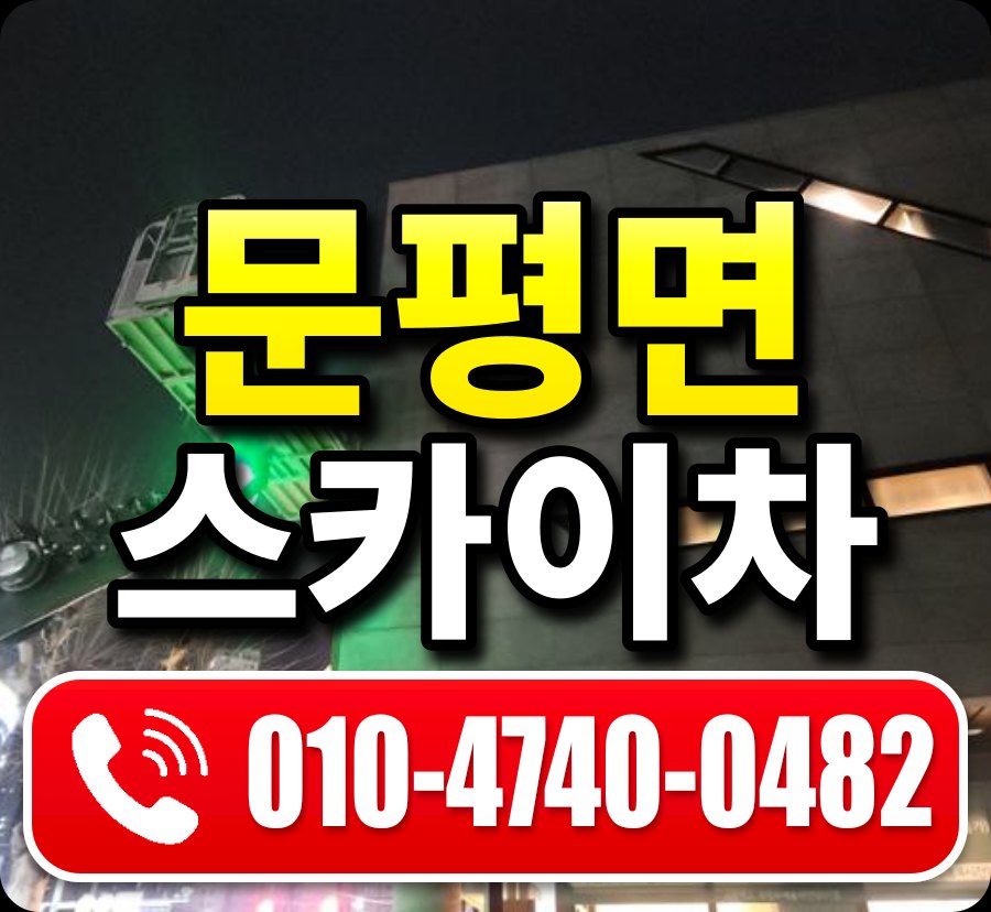 문평면 스카이차 010-4740-0482