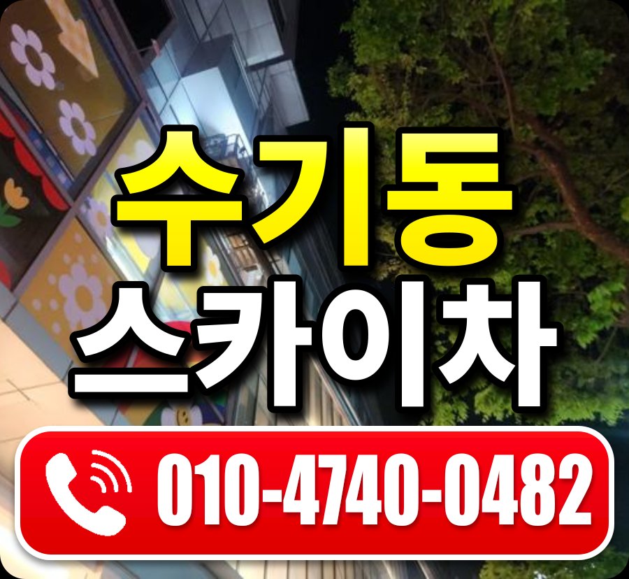 수기동 스카이차 010-4740-0482