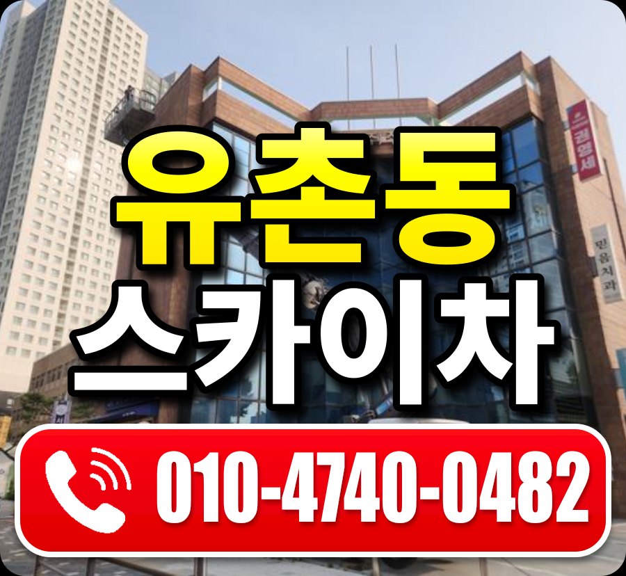 유촌동 스카이차 010-4740-0482