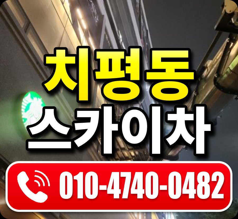 치평동 스카이차 010-4740-0482