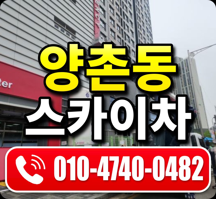 양촌동 스카이차 010-4740-0482