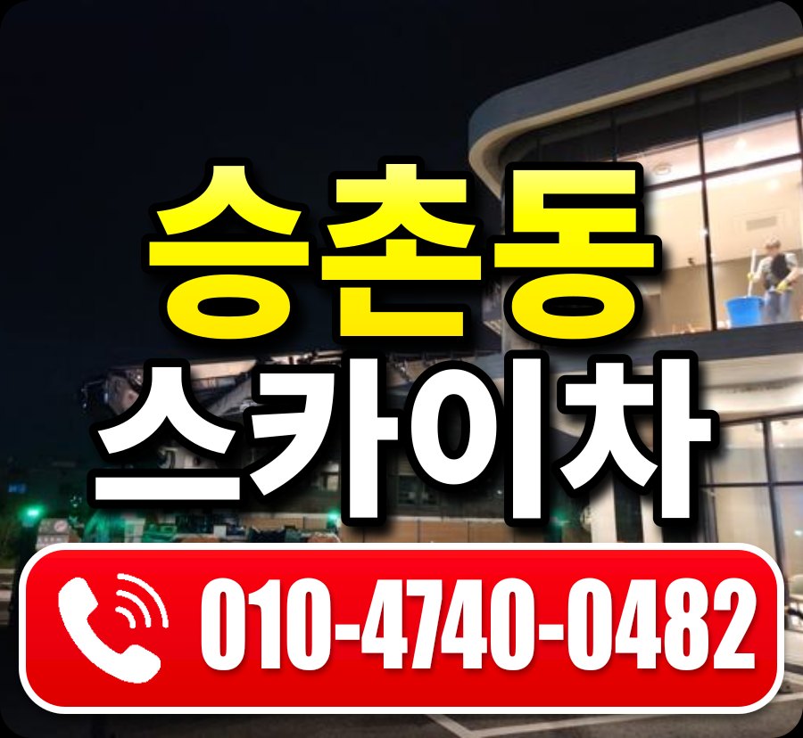 승촌동 스카이차 010-4740-0482
