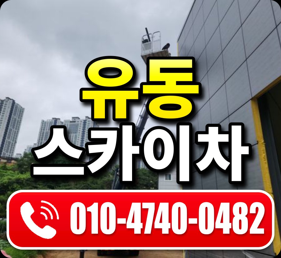유동 스카이차 010-4740-0482