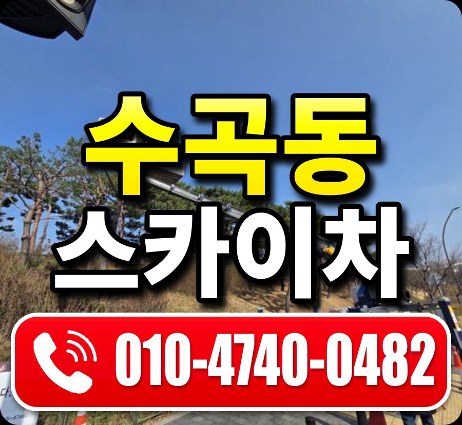 수곡동 스카이차 010-4740-0482
