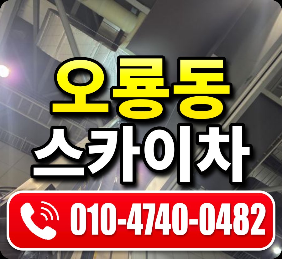 오룡동 스카이차 010-4740-0482