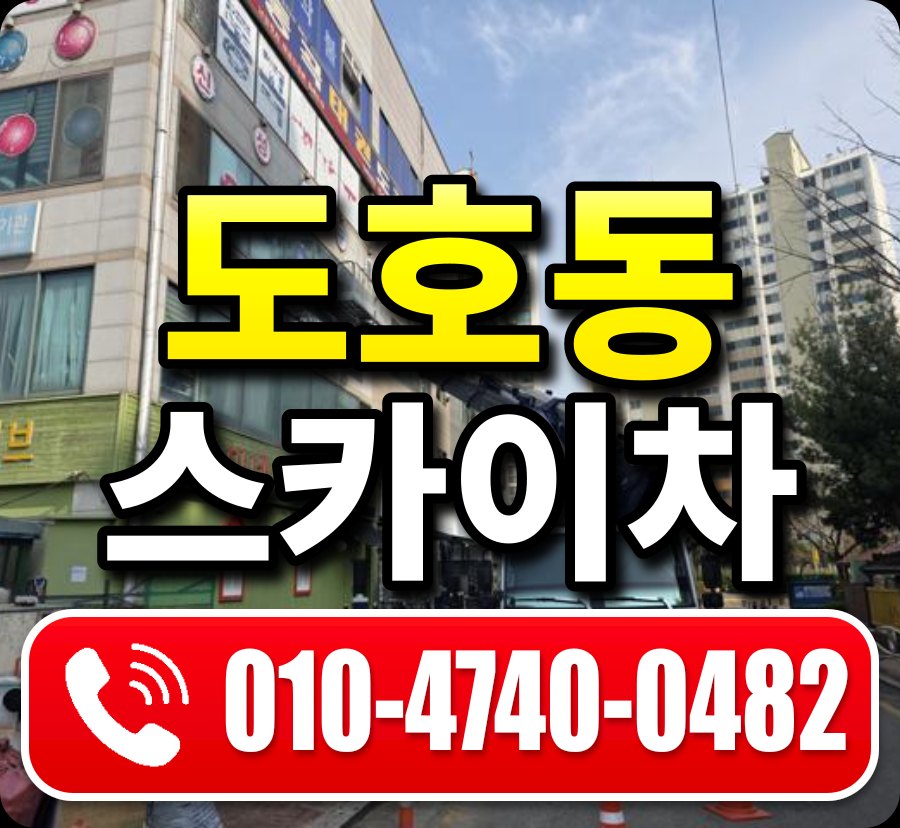 도호동 스카이차 010-4740-0482