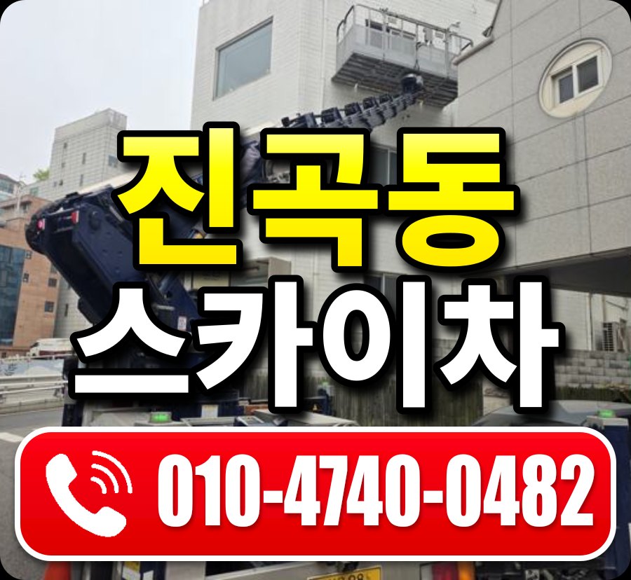 진곡동 스카이차 010-4740-0482