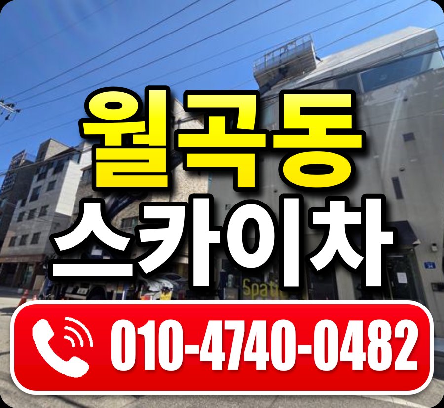 월곡동 스카이차 010-4740-0482