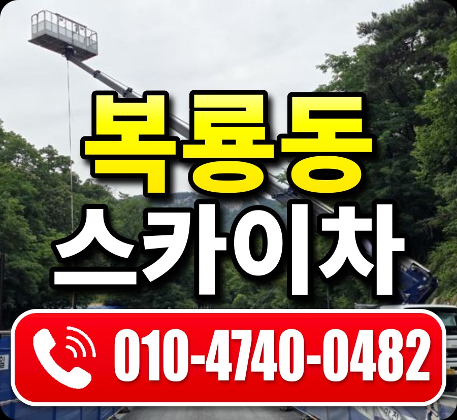 복룡동 스카이차 010-4740-0482