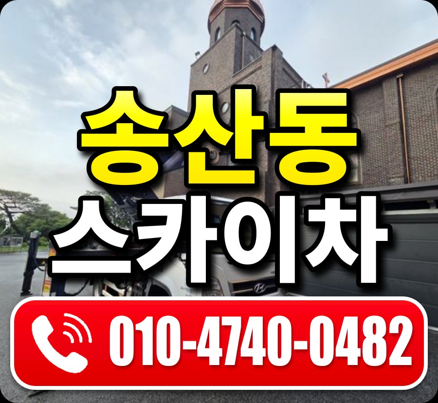 송산동 스카이차 010-4740-0482