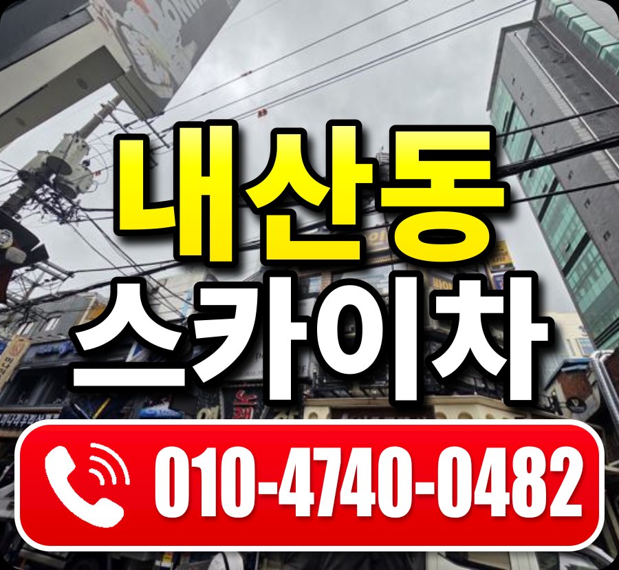 내산동 스카이차 010-4740-0482